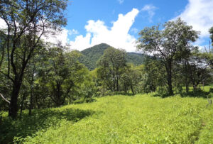 Parque Nacional Cerros de Amotape